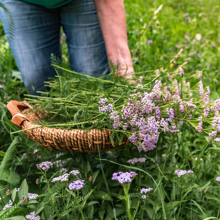 Your festive guide to holiday gifting - chosen by our team