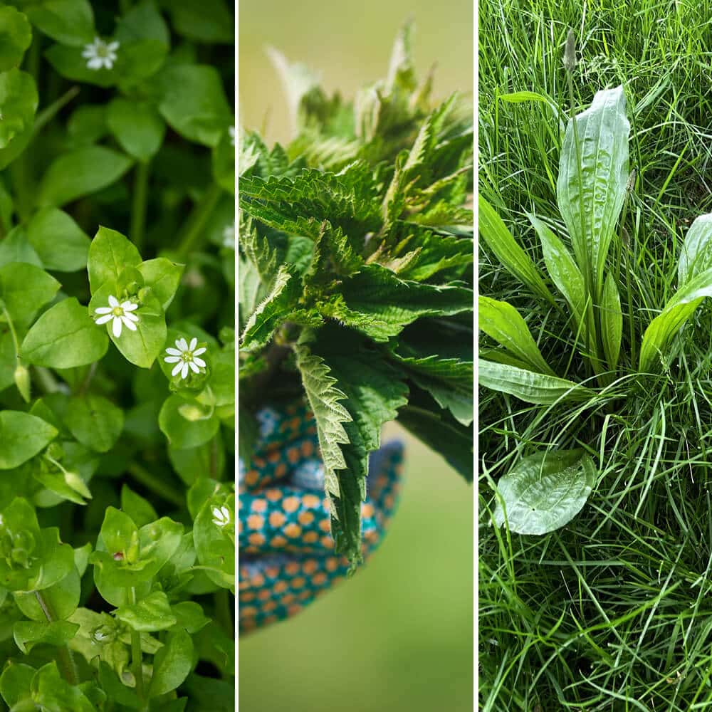 Your festive guide to holiday gifting - chosen by our team