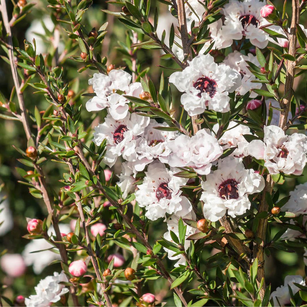 Your festive guide to holiday gifting - chosen by our team