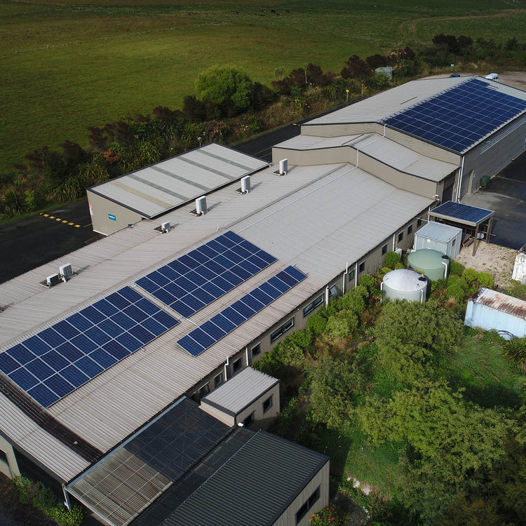 Your festive guide to holiday gifting - chosen by our team