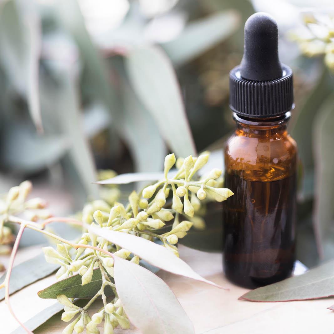 Your festive guide to holiday gifting - chosen by our team