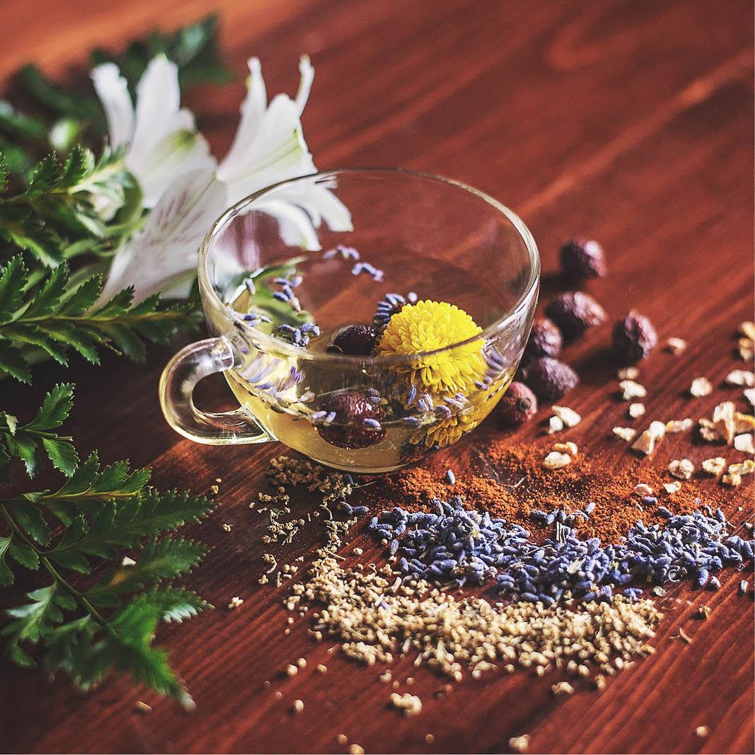 Your festive guide to holiday gifting - chosen by our team