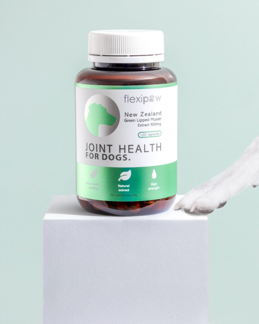 Bottle of Flexipaw joint health supplements for dogs on a light green background.