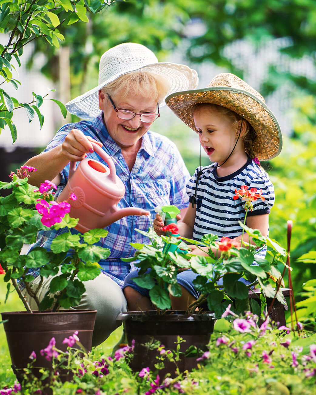 Grandparent and grandchild gardening together in a garden.