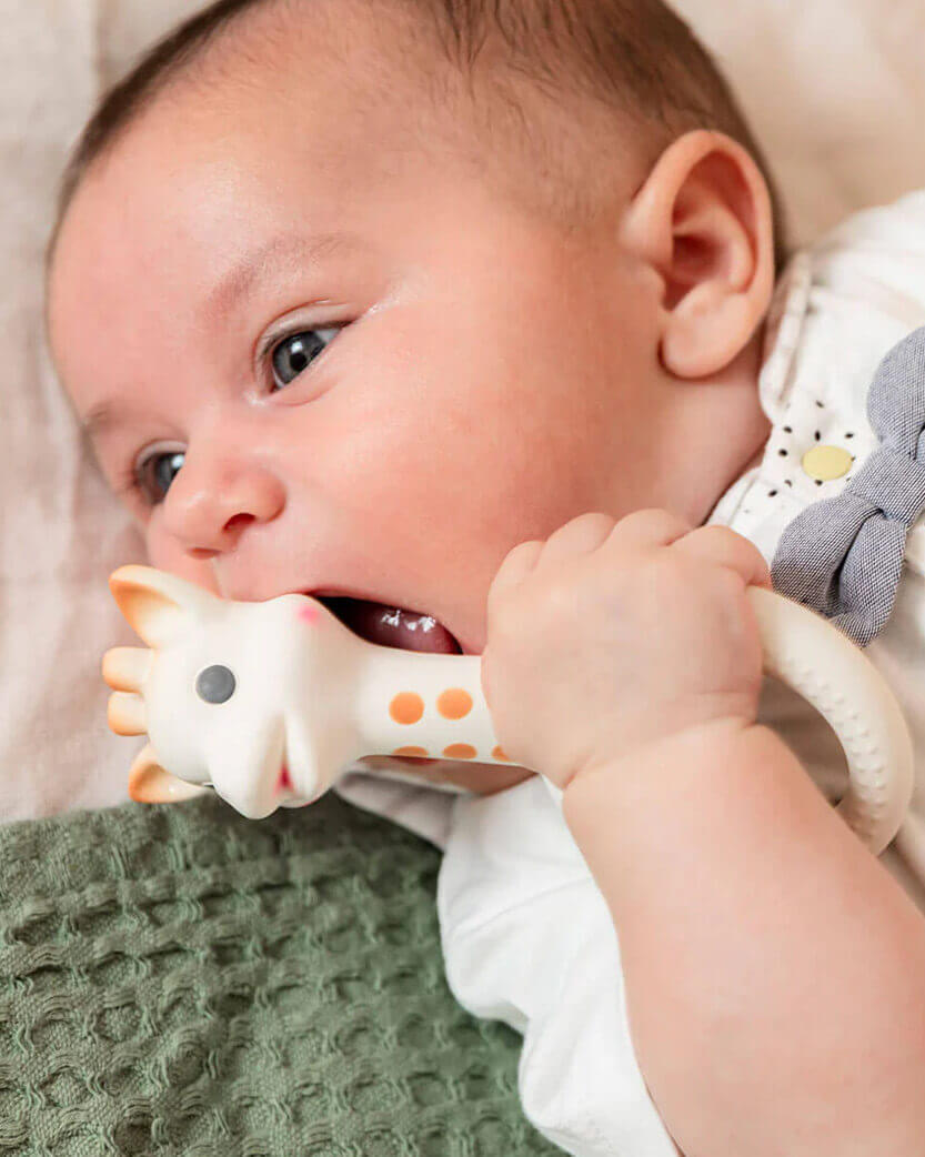 Baby holding a toy with a neutral background.