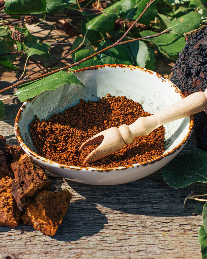 White bowl with brown chaga mushroom powder on a wooden surface with green leaves in the background
