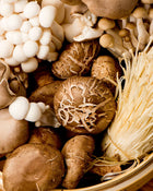 Cappuccino in a white cup with cinnamon on a light surface