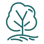 Tree icon.