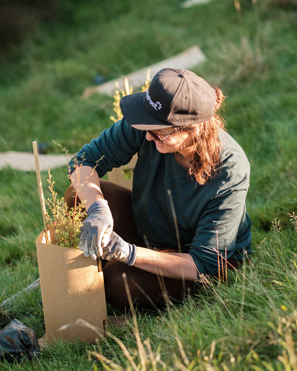 Person planting a tree in a cardboard box in a grassy area.