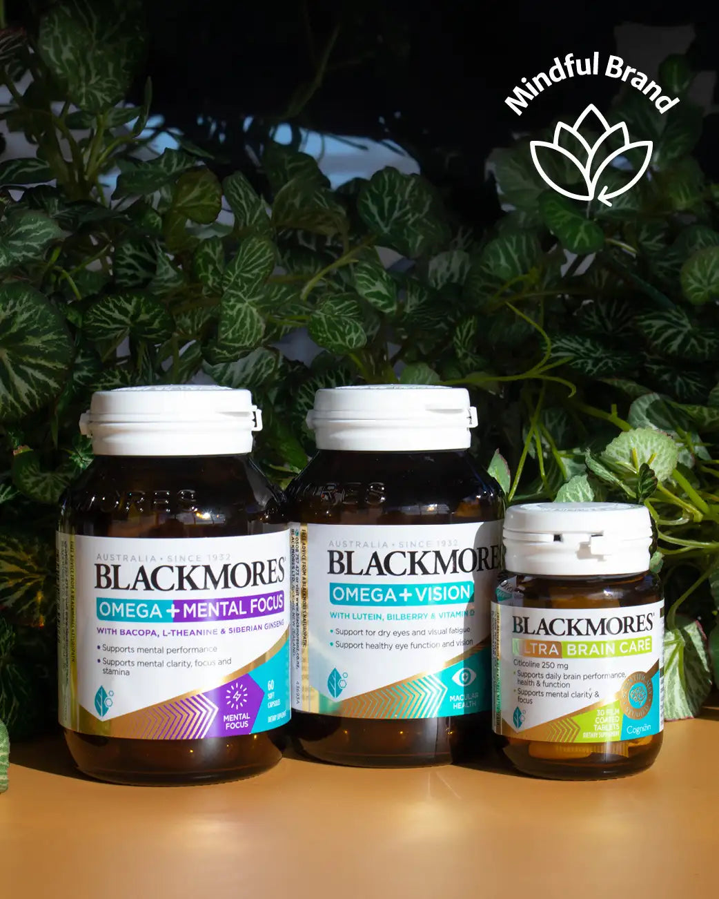 Three Blackmores supplement bottles arranged on a wooden surface in front of a backdrop of green plants. The bottles are Omega + Mental Focus, Omega + Vision, and Extra Brain Power.