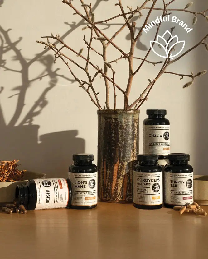 Five supplement bottles from Mindful Brand arranged on a wooden surface with a rustic metal vase of branches behind them. Visible labels include Fresh, Lion's Mane, Cordyceps Sinensis, Turkey Tail, and Chaga.