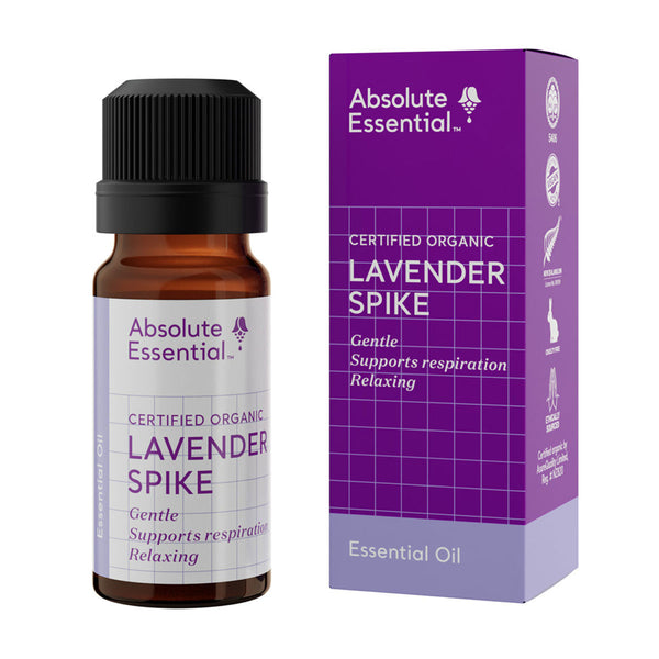 Lavender Spike (Organic)