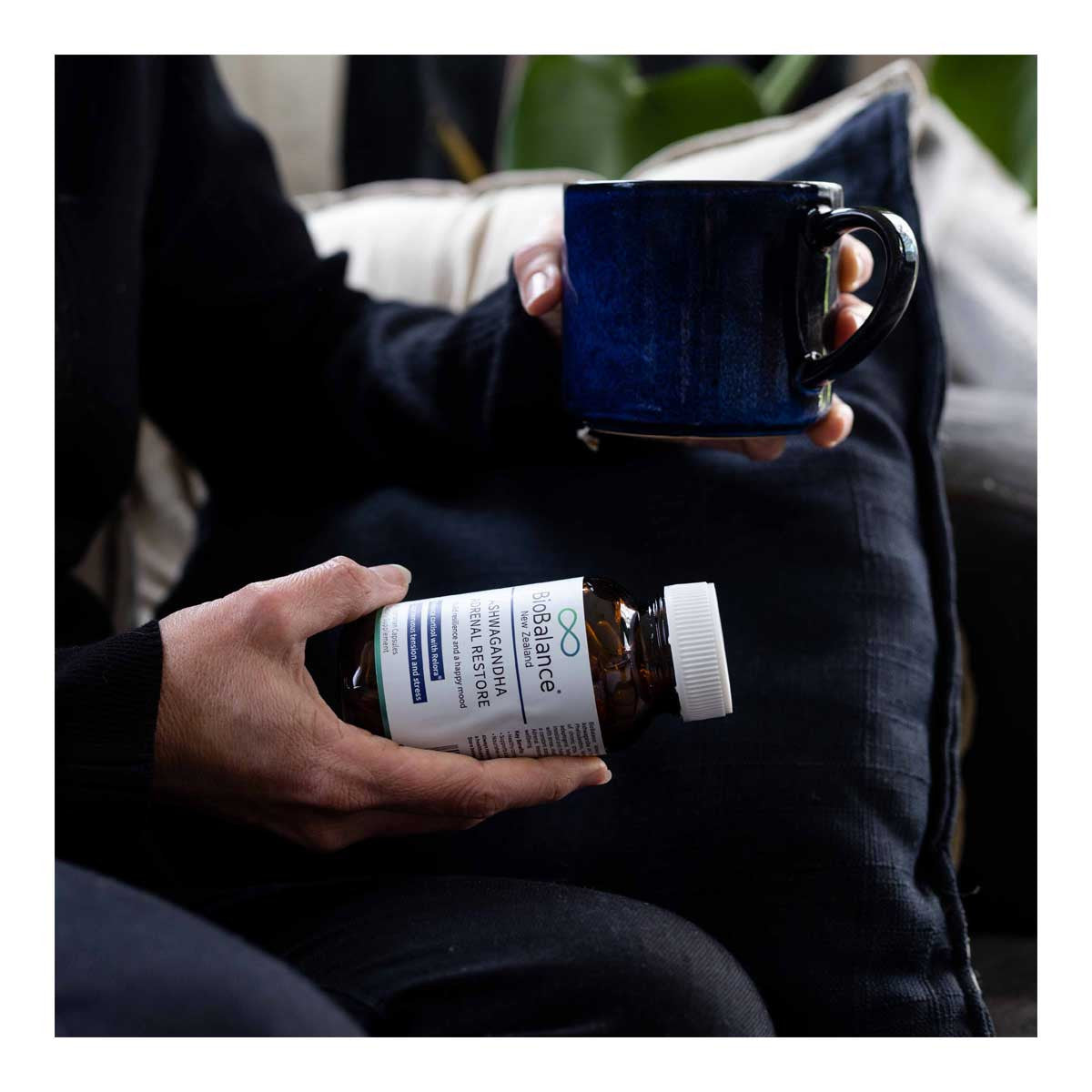 BioBalance Ashwagandha Adrenal Restore _4