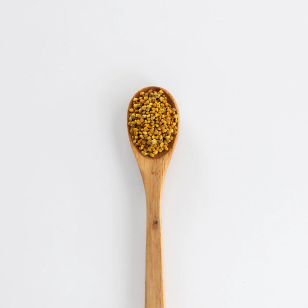 Wooden spoon filled with bee pollen on a light grey background.
