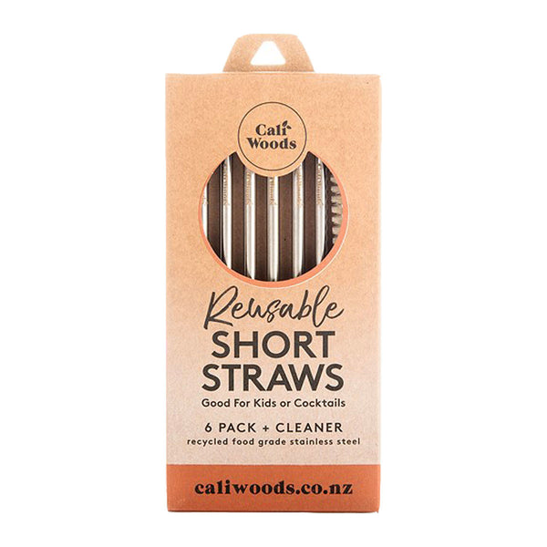 Reusable Short Straws 6 Pack + Cleaner