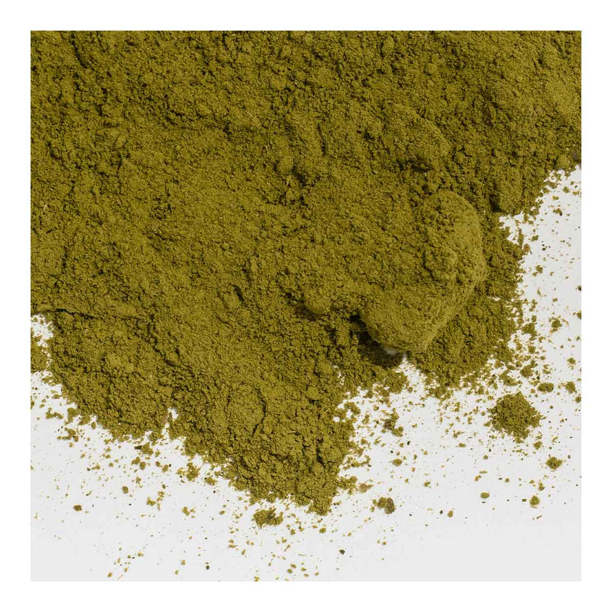 Coastal Canine Joint Boost for Dogs _5