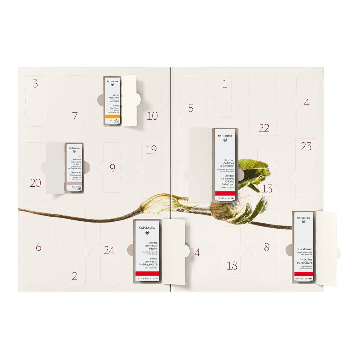 A Dr. Hauschka advent calendar featuring numbered compartments with small pull-out packets, arranged on a white background with a botanical leaf and stem illustration across the center.