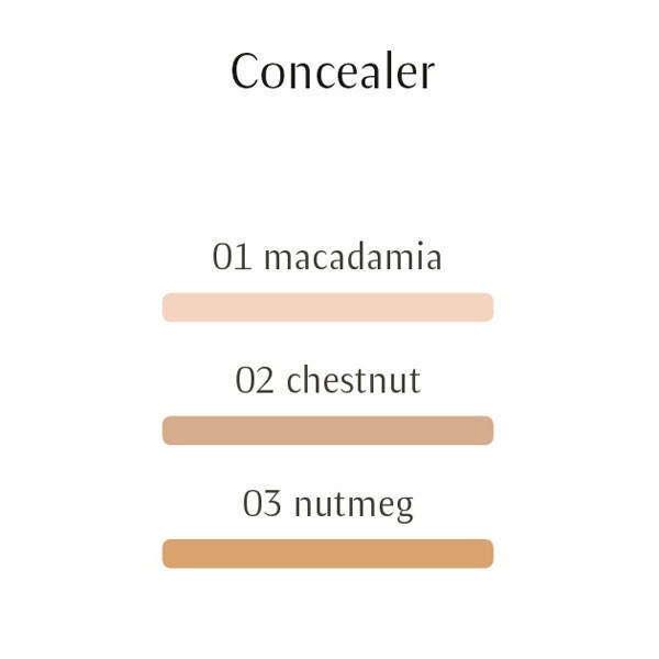 Dr Hauschka Concealer 01 Macadamia_2
