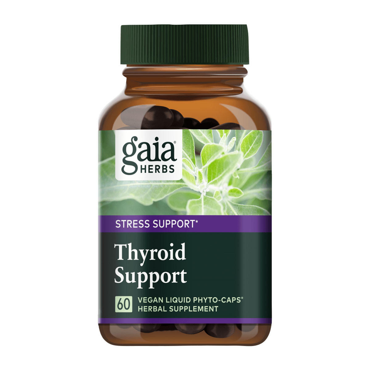 Gaia Herbs Thyroid Support with Ashwagandha, Seaweed, Kelp and Schisandra_1
