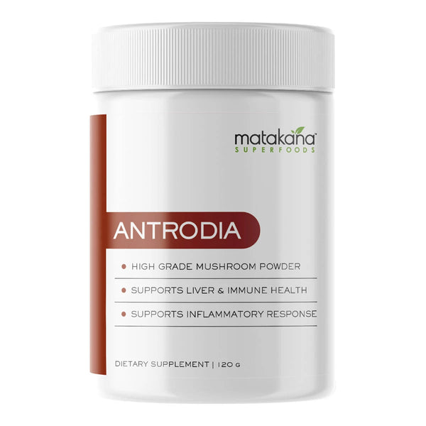 Antrodia Mushroom