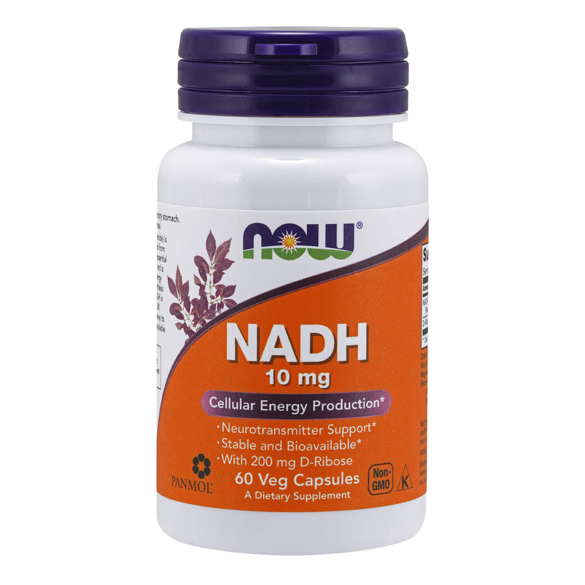 NOW foods NADH 10mg_1