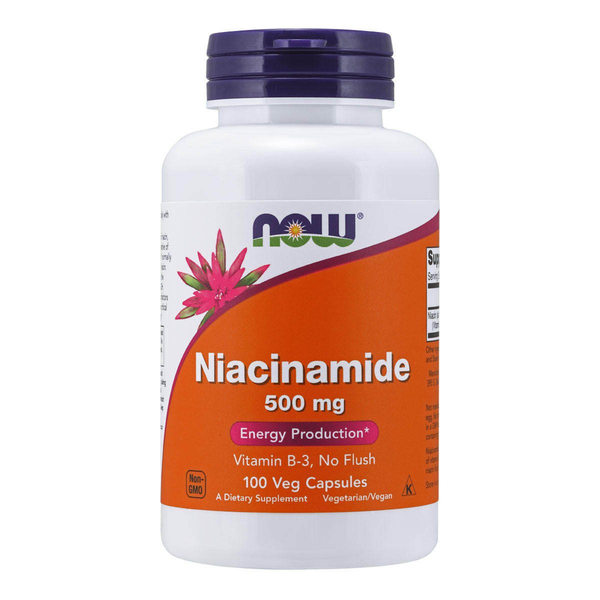 NOW foods Niacinamide 500mg_1