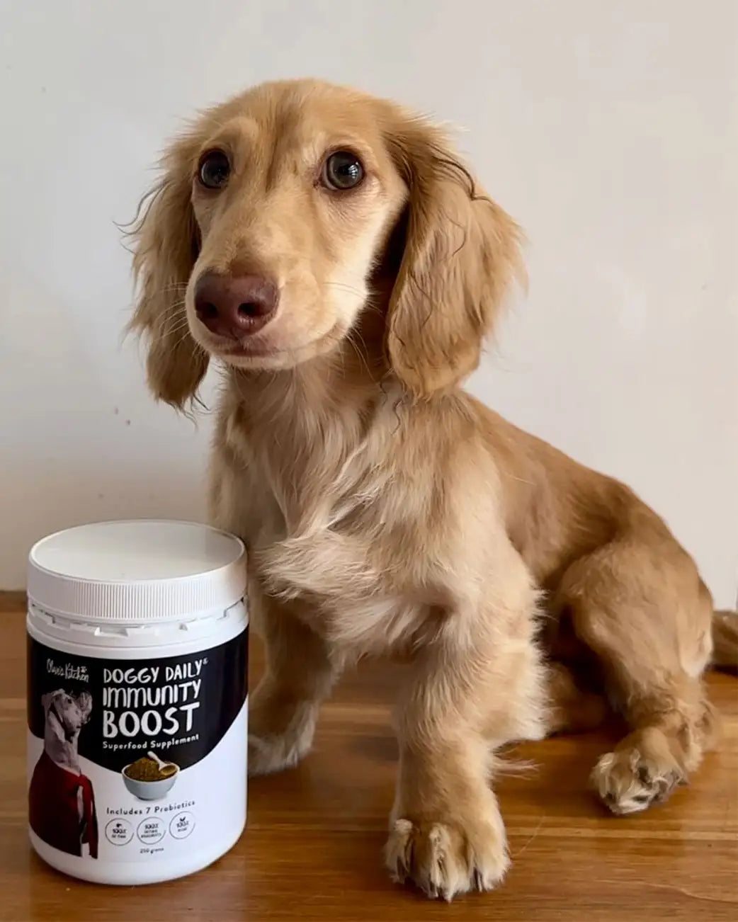 Dog sitting next to a container of 'Doggy Daily Immunity Boost' supplement on a wooden surface.