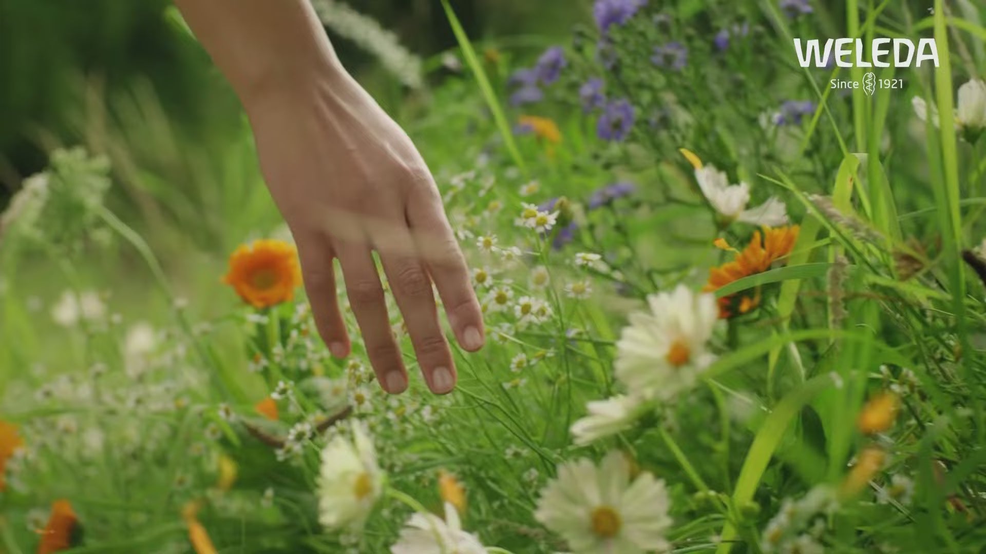 Montage of a person using Skin Food in a natural setting.
