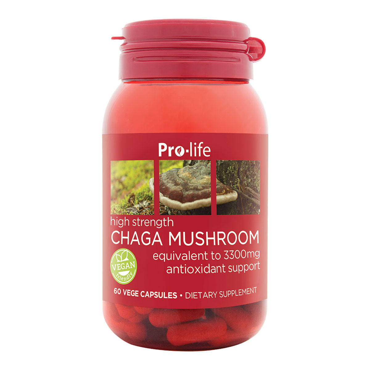 Pro-life High Strength Chaga Mushroom_1