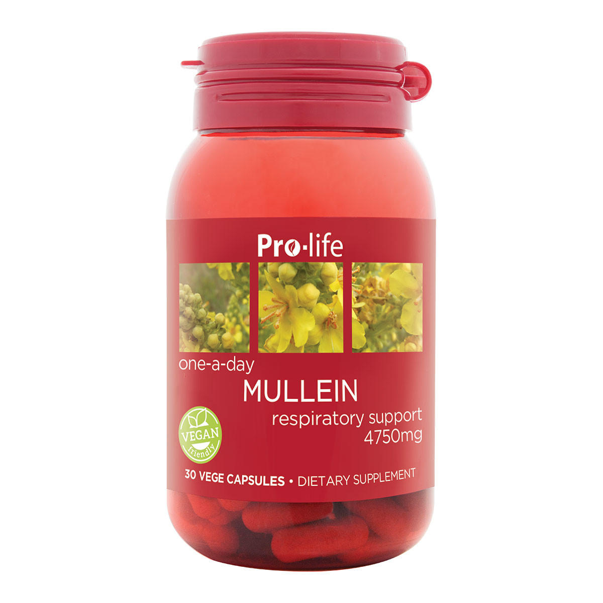 Pro-life Mullein Respiratory Support_1