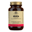 Oceanic Silica