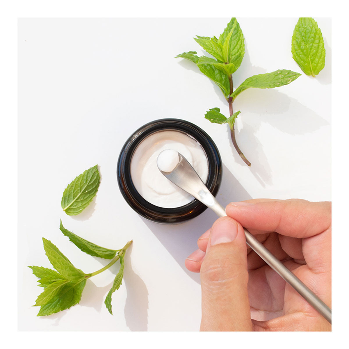 Solid Toothpaste - Spearmint with Fluoride _2