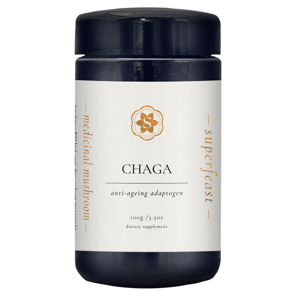 Chaga Mushrooms