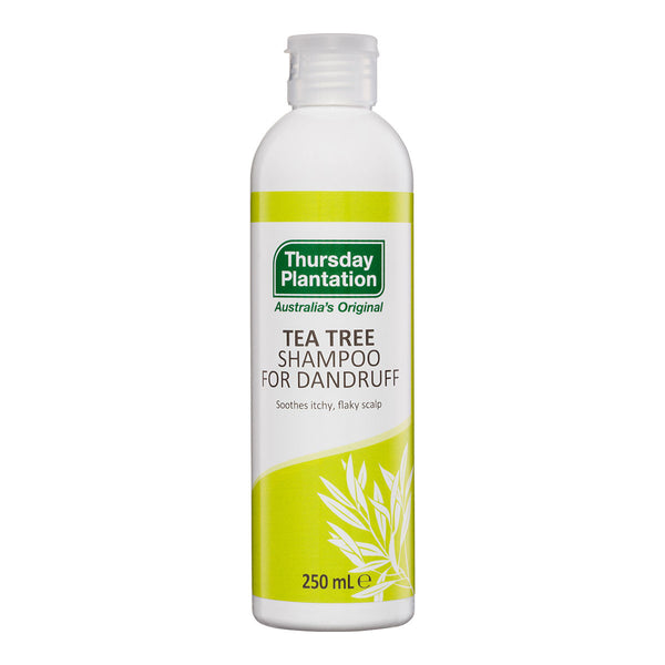 Tea Tree Shampoo for Dandruff
