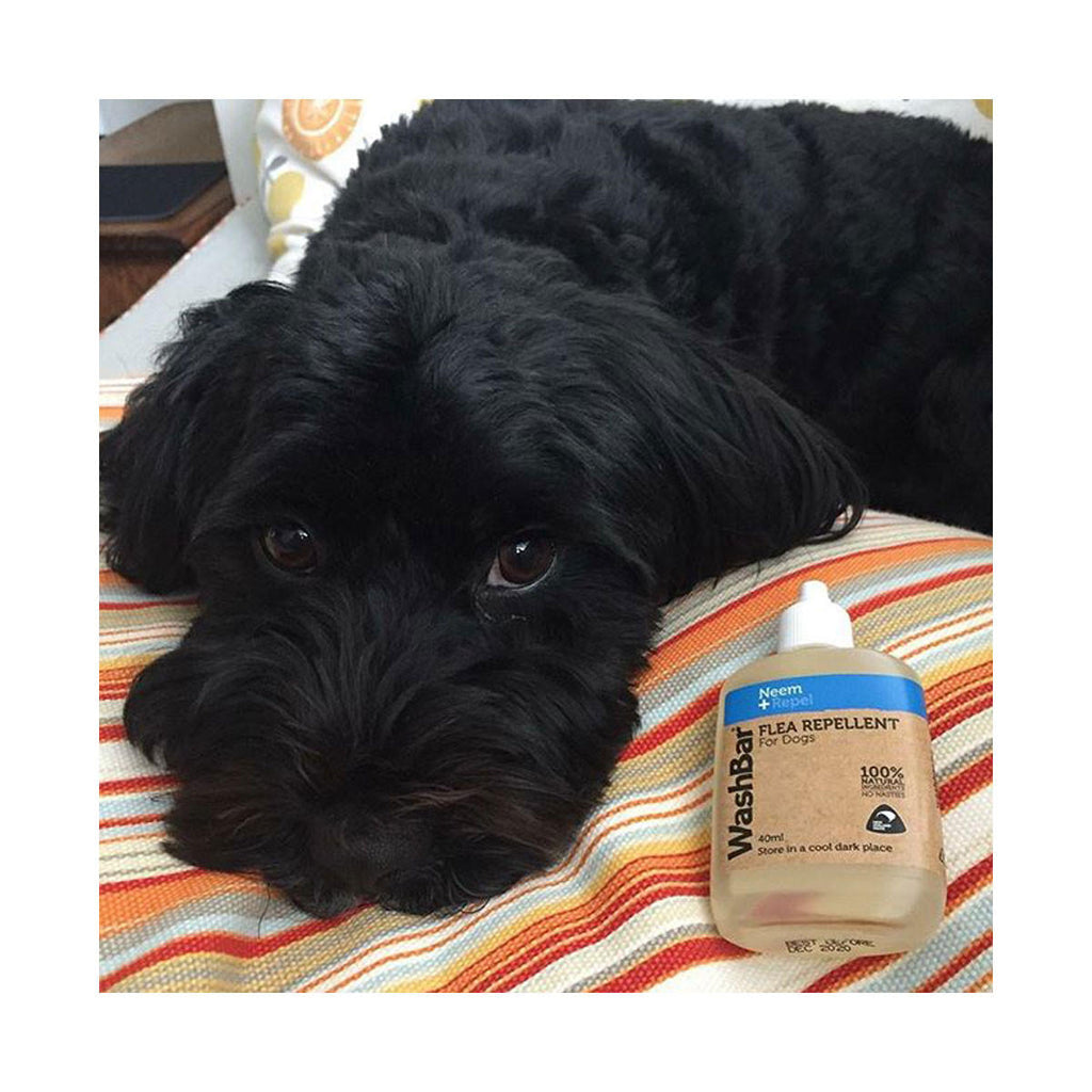 WashBar Flea Repellent For Dogs_2