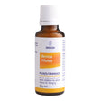Arnica Pilules Granules