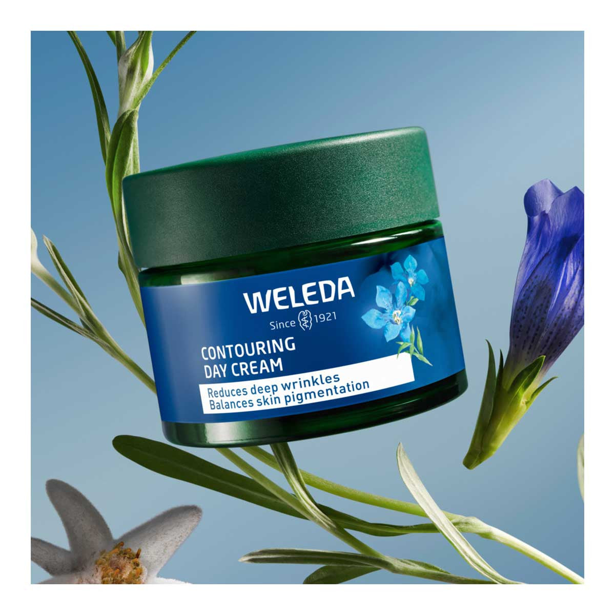 Weleda Contouring Day Cream - Blue Gentian & Edelweiss _4