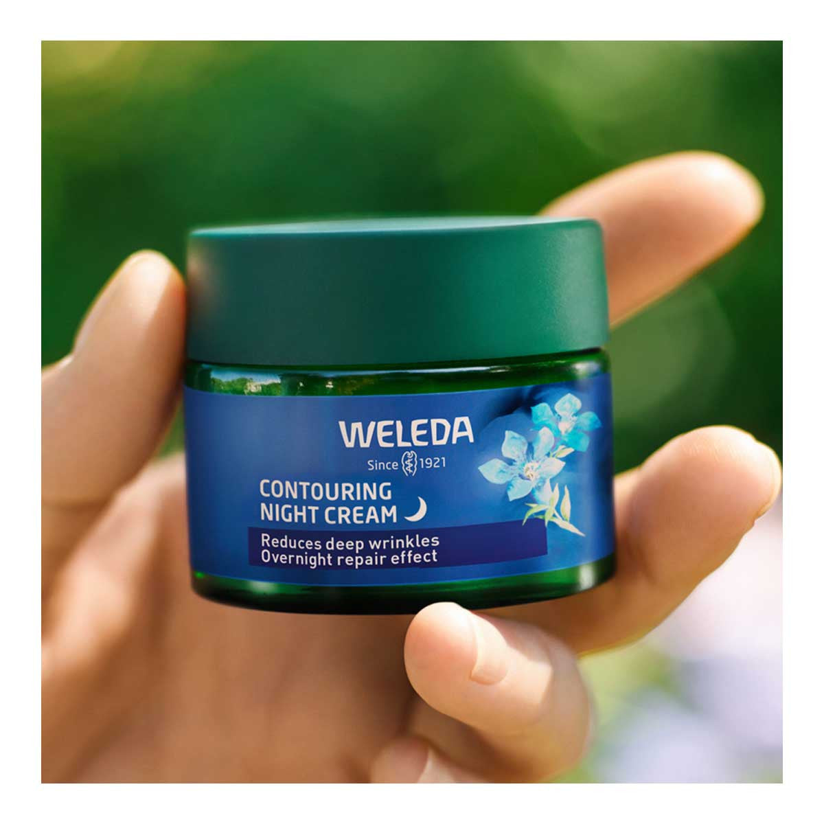 Weleda Contouring Night Cream - Blue Gentian & Edelweiss _3